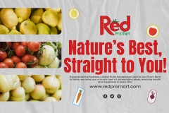 Innovating Red Pro Mart’s Operations with Custom Application Development